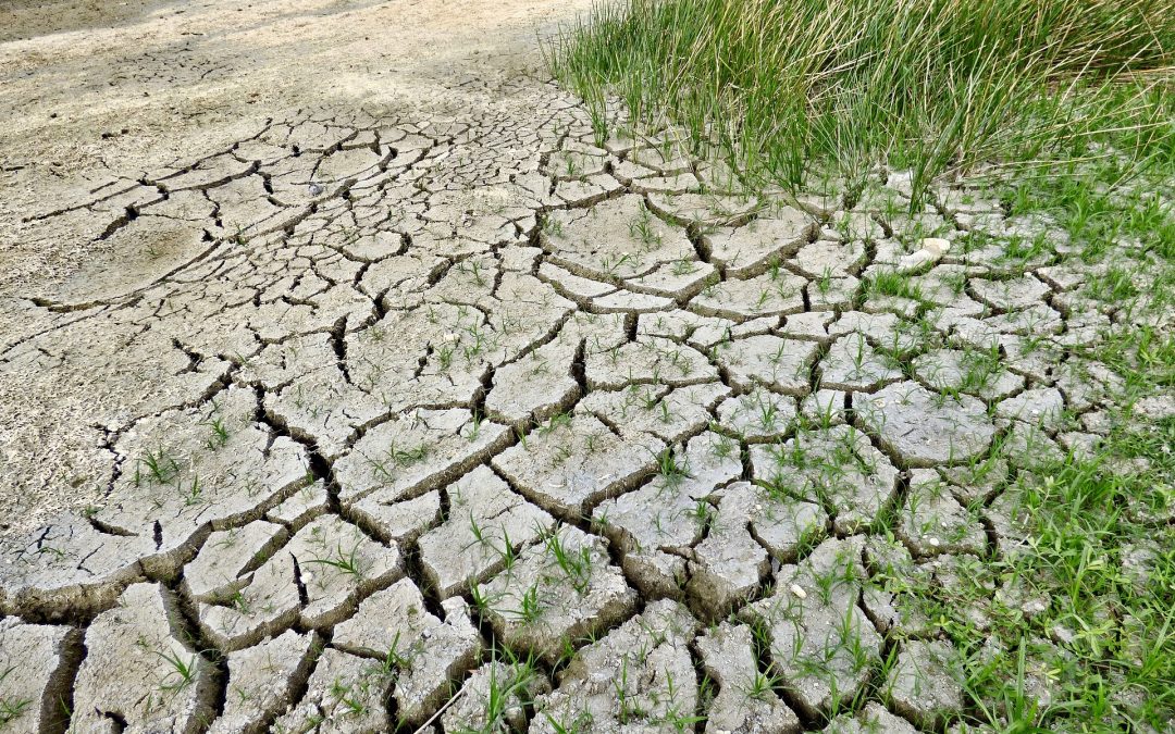 Carenza idrica, sotto esame  al Senato il Ddl siccità