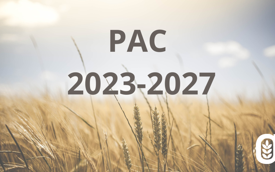 Pac 2023-2027, prime considerazioni dopo il primo anno di attuazione